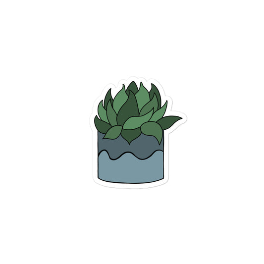 Cute succulent