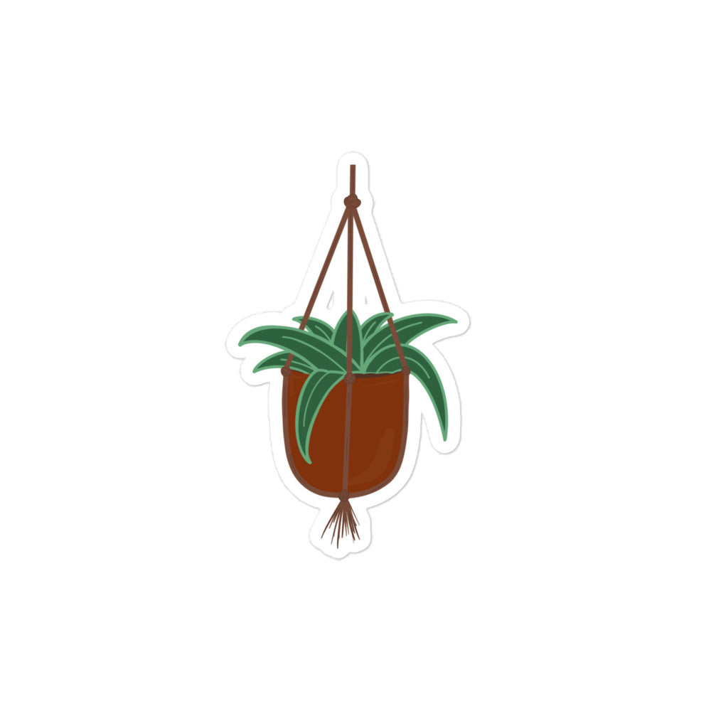 Hanging plant