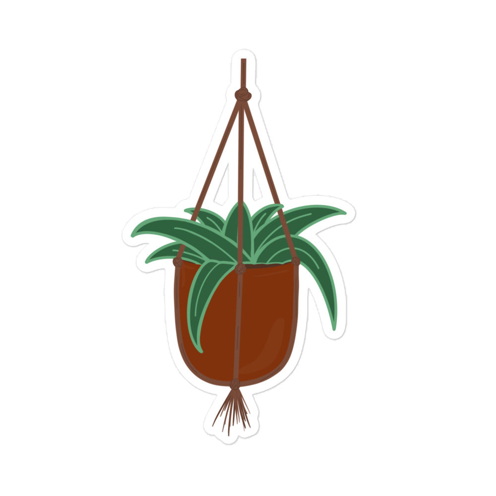 Hanging plant